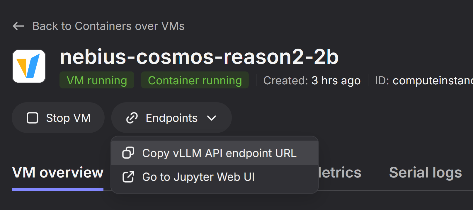 vLLM Endpoint