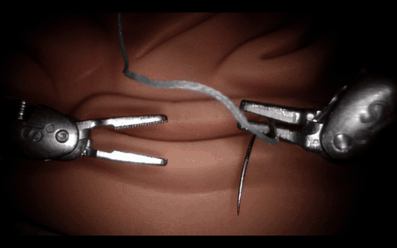 Cosmos-H-Surgical-Simulator: action-conditioned video generation for surgical robotics