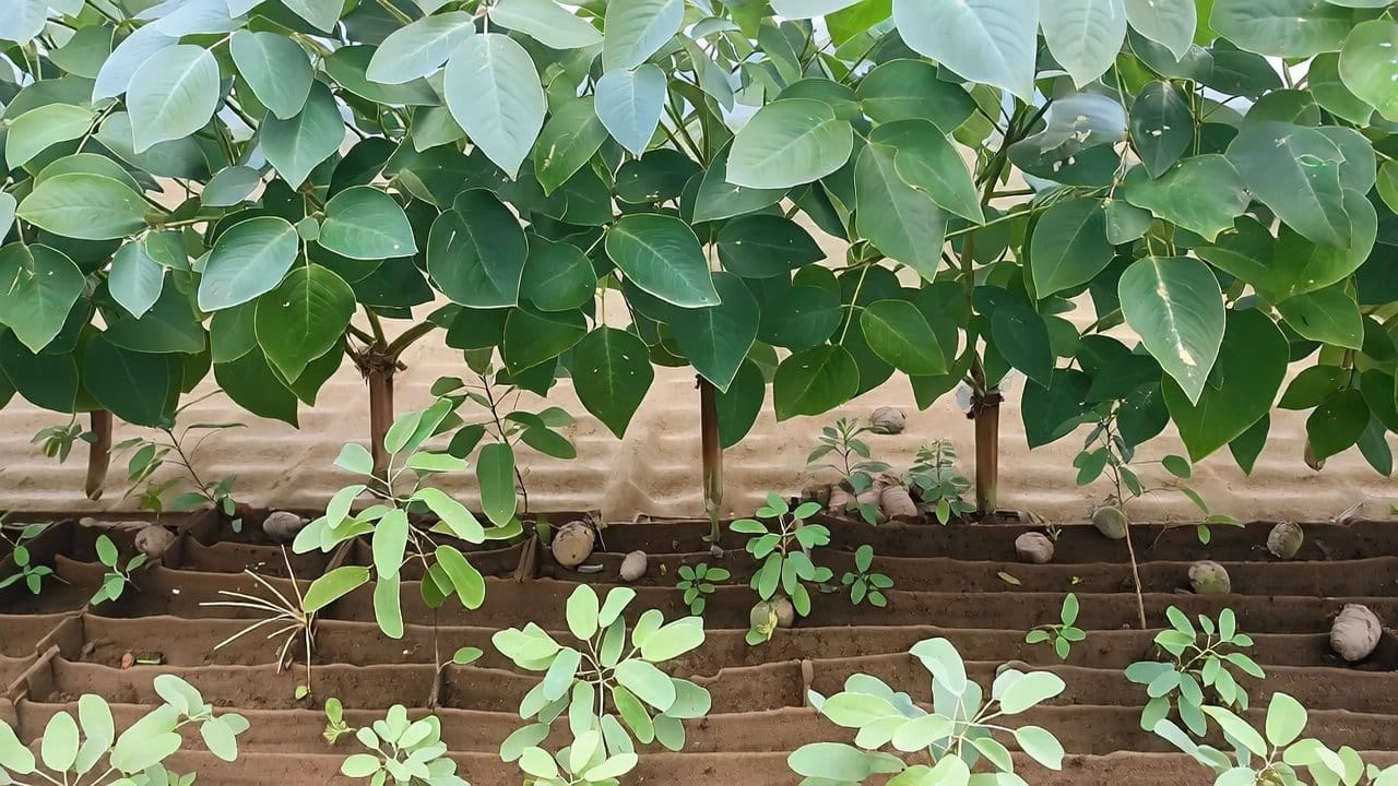 Base Cosmos Transfer 2.5 Checkpoint